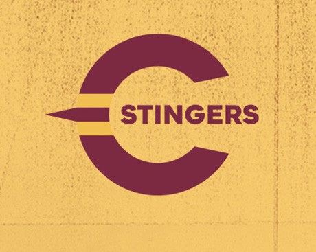 Stingers hockey Stingers hockey